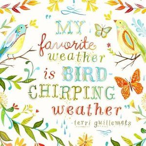 My favorite weather...